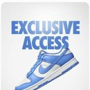 로우코스트 이미지