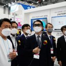 올리브 안전 이미지