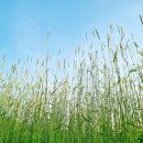 범이네 집 이미지