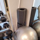 스쿼트게러지 이미지