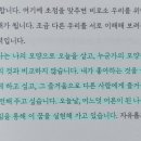 내 아이가 다시 찾아준 내 꿈(0716) | [서평] 꿈이 없는 시대에 던지는 질문! 직업이 아닌 삶의 방향을 묻는 꿈 이야기, 아이 해브 어 드림