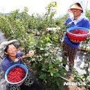 수철농장 이미지