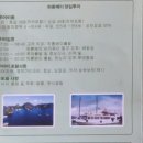 비젼여행사 이미지