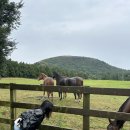 은형목장 이미지