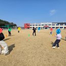 협동조합익산드림스포츠 이미지