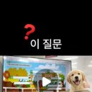 연미초교 이미지