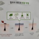 주식회사 멋진인생 이미지