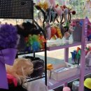 포토스트리트 안성공도점 이미지