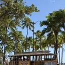 정 ‘S 커피앤정 ‘S 식당 | [하와이 신혼여행-15] 하와이에서 먹은것들과 잔잔바리 기록