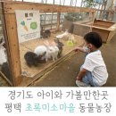 만지 농장 이미지