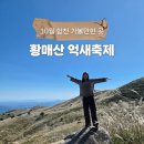 가회면사무소 | 합천 황매산 억새 축제 정보 찍먹하고 온 후기