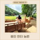 용인 한터농원 동물먹이주기, 물감놀이, 물놀이 등 아이와 농촌체험