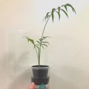창포산업 이미지
