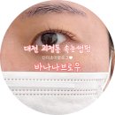 캔디브로우 | 대전 괴정동 속눈썹샵 바나나브로우 솔직 후기💛 블랙틴팅 검댕펌 해봤어요!