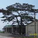 마금목장 이미지