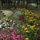 (주)송도공원 이미지