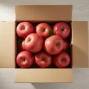 한진종합가스 | 가정용 실속형 부사 꿀사과 선물세트 솔직 리뷰