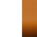 하치이야기 | 도쿄 시부야 스크램블 교차로 전광판 IDOLIC 모습 TIFF 영화제 위민 인 모션 Kento 라디오 후기