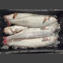 옥진수산 이미지