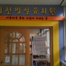 영천초등학교 병설유치원 네이버블로그