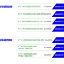 부산 전시회 추천 - 2024 부산현대미술관 비엔날레 도슨트 후기