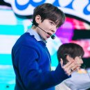 영보이