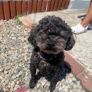 또하르네 이미지