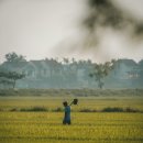 "이대로 혼자 살까?" 고민된다면, 베트남 국제결혼이 답이 될 수 있습니다.
