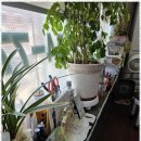 청홍안마원 이미지