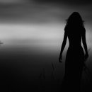 숲속의사랑별 이미지