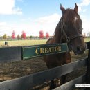 수림목장 이미지