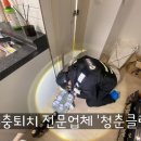 수성다듬이 이미지