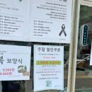 울림두레생협