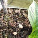 주황농장 이미지