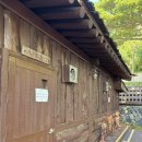 학포길 | [울릉도 캠핑 후기] 학포야영장 상세리뷰 &amp; 1박 2일 솔직 후기