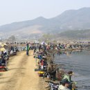 예당낚시터 이미지