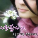 참사랑안경 이미지