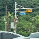 제주 포썸도그센터 | 제주 반려견 동반 바다 추천? 함도그비치 다녀온 후기