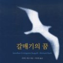 갈매기의 꿈 이미지