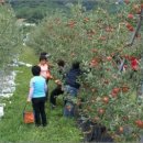 죽장면 참느리 이미지