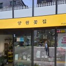 [양원꽃집] 중랑구 예쁜 어버이날꽃 저렴하게 구입한 후기
