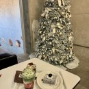 라꼬미다데수다메리카 | [압구정 카페] 크리스마스 트리가 이쁜 디저트맛집 신사 카페 카이브 가로수길점