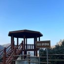 전남 장흥 여행 천관산자연휴양림 노각나무동 이용팁 여행은 역시 산림욕