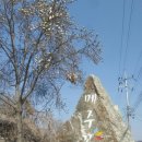 메주꽃이랑 이미지