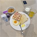 더레지아A 이미지