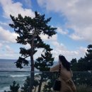 롱블랙커피 이미지