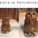 잎새 이미지
