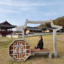경기도 양주 관아지 주차장 향교 숲놀이터 야경 아이들과 가볼만한곳