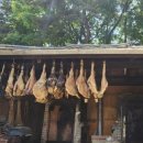 흑진주목장 이미지