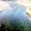 평화의댐 펜션 이미지